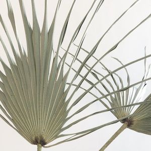 Meet your Posher, Jan.